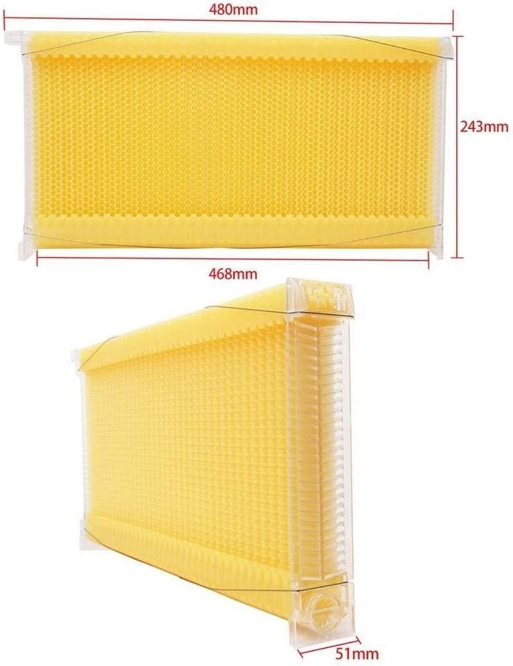 Yolpoco 7Pcs Auto Beehive Frame Comb, Automatic Wooden bee hive House kit，Auto Honey Hive Beehive Frames + Beekeeping Wooden House Beehive Boxes-Food Grade BPA