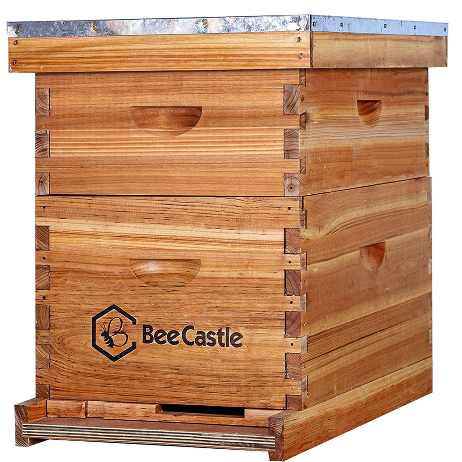 10-Frames Complete Beehive Kit, Beeswax Coated Bee Hive Includes Frames and Beeswax Coated Foundation Sheet (2 Layer)