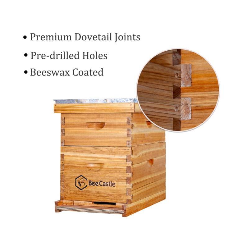 10-Frames Complete Beehive Kit, Beeswax Coated Bee Hive Includes Frames and Beeswax Coated Foundation Sheet (2 Layer)