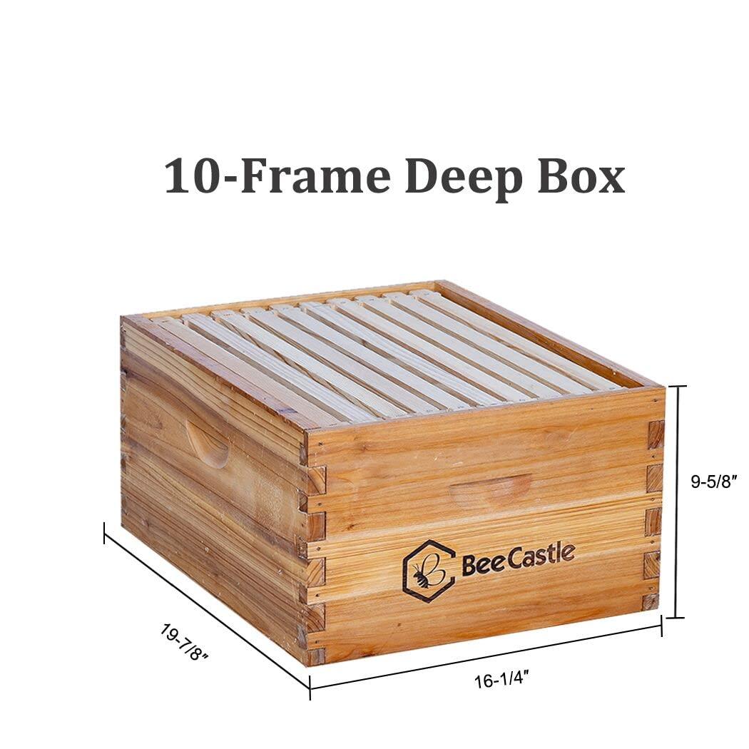 10-Frames Complete Beehive Kit, Beeswax Coated Bee Hive Includes Frames and Beeswax Coated Foundation Sheet (2 Layer)