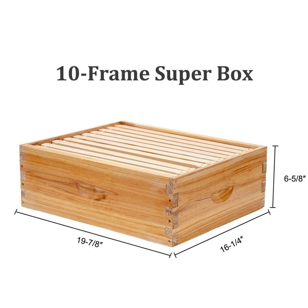 10-Frames Complete Beehive Kit, Beeswax Coated Bee Hive Includes Frames and Beeswax Coated Foundation Sheet (2 Layer)