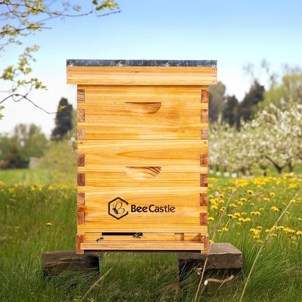 10-Frames Complete Beehive Kit, Beeswax Coated Bee Hive Includes Frames and Beeswax Coated Foundation Sheet (2 Layer)