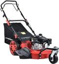 PowerSmart Self Propelled Lawn Mower, 20-Inch & 170CC, 3 Wheels Mowing Easier, 4-Stroke Engine, 3-in-1 Gas Mower with Bag, 8 Adjustable Cutting Height