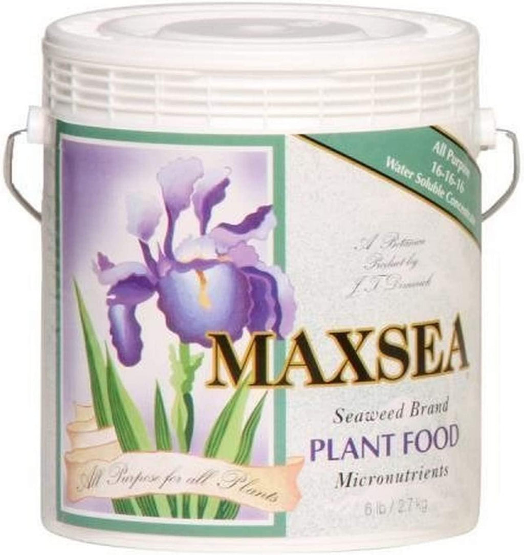 Maxsea HGC722255 All Purpose 16-16-16 Hydroponic Nutrient Fertilizer, 6 lb, Brown/A