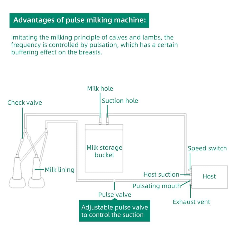 5L Electric MilMachine for Cow, Pulsation Vacuum Pump Electric Milker with 2 Teat Cups and  Steel Bucket (Cow)