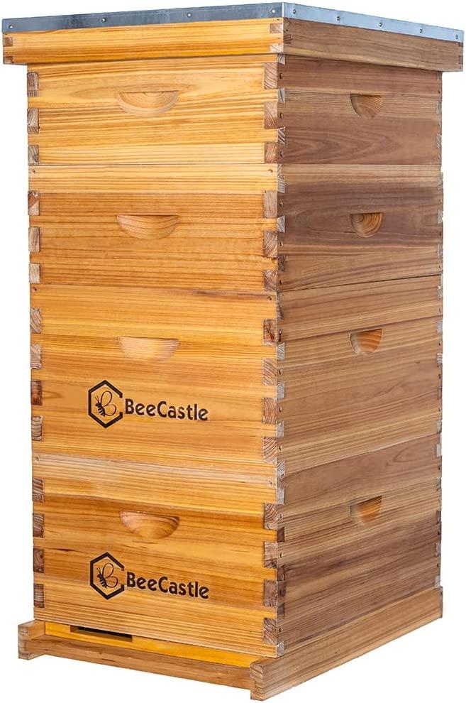 Bee Hive 10 Frame Complete Bee Hives and Supplies Starter Kit, Beeswax Coated Beehives for Beginners with Bee Hive Frame and Waxed Foundation Include 2 Deep Hive Box and 2 Medium Bee Hive Super