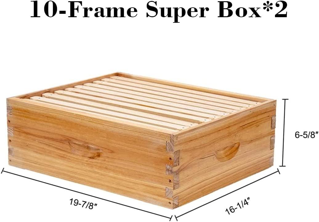 Bee Hive 10 Frame Complete Bee Hives and Supplies Starter Kit, Beeswax Coated Beehives for Beginners with Bee Hive Frame and Waxed Foundation Include 2 Deep Hive Box and 2 Medium Bee Hive Super