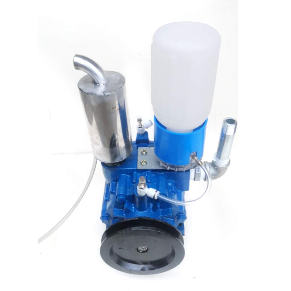 WINUS MilMachine for Cows, MilVacuum Pump Cow Milker Vacuum Pump for Cow MilMachine Milker Bucket Tank Barrel 250L/min Vacuum Pump (Vacuum Pump)