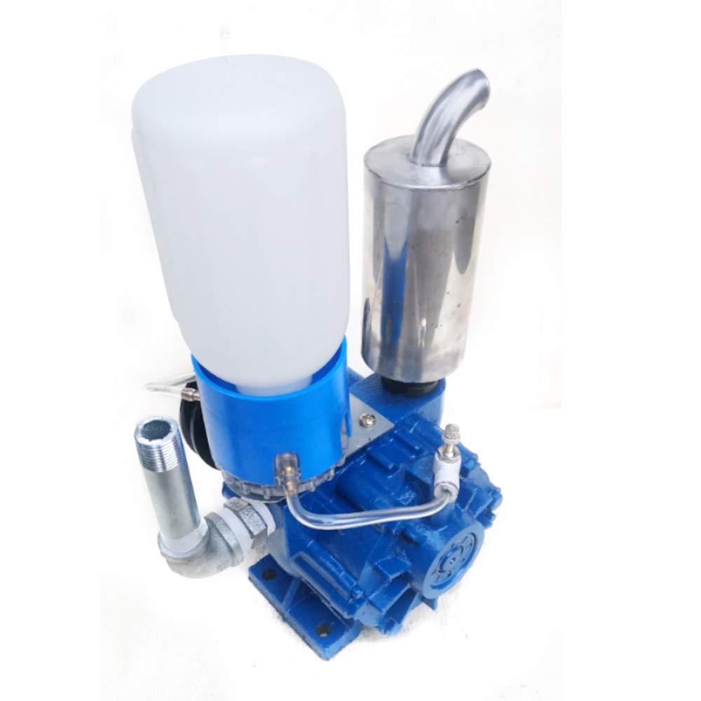 WINUS MilMachine for Cows, MilVacuum Pump Cow Milker Vacuum Pump for Cow MilMachine Milker Bucket Tank Barrel 250L/min Vacuum Pump (Vacuum Pump)