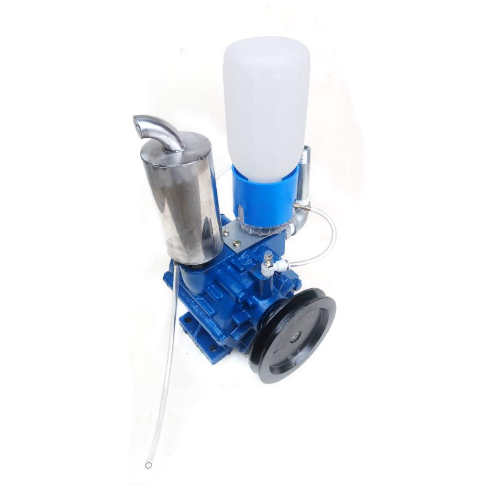 WINUS MilMachine for Cows, MilVacuum Pump Cow Milker Vacuum Pump for Cow MilMachine Milker Bucket Tank Barrel 250L/min Vacuum Pump (Vacuum Pump)