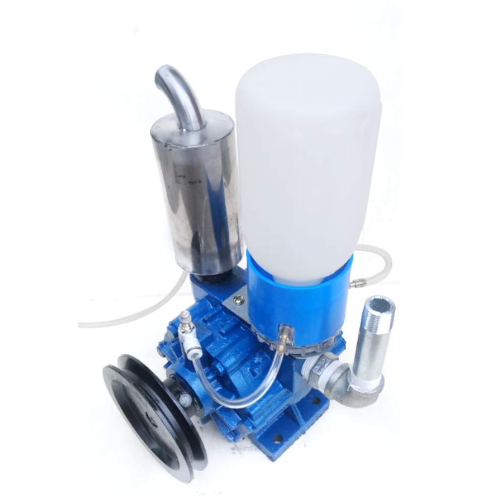 WINUS MilMachine for Cows, MilVacuum Pump Cow Milker Vacuum Pump for Cow MilMachine Milker Bucket Tank Barrel 250L/min Vacuum Pump (Vacuum Pump)