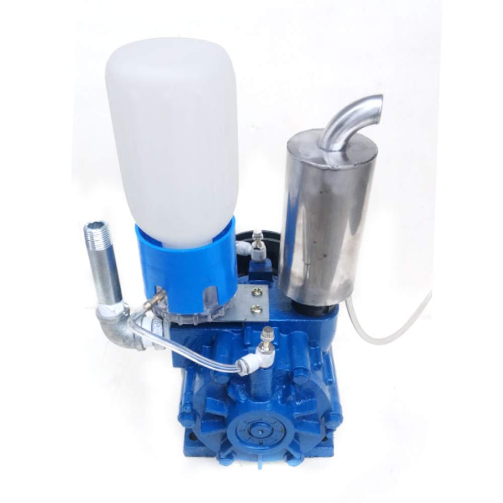 WINUS MilMachine for Cows, MilVacuum Pump Cow Milker Vacuum Pump for Cow MilMachine Milker Bucket Tank Barrel 250L/min Vacuum Pump (Vacuum Pump)