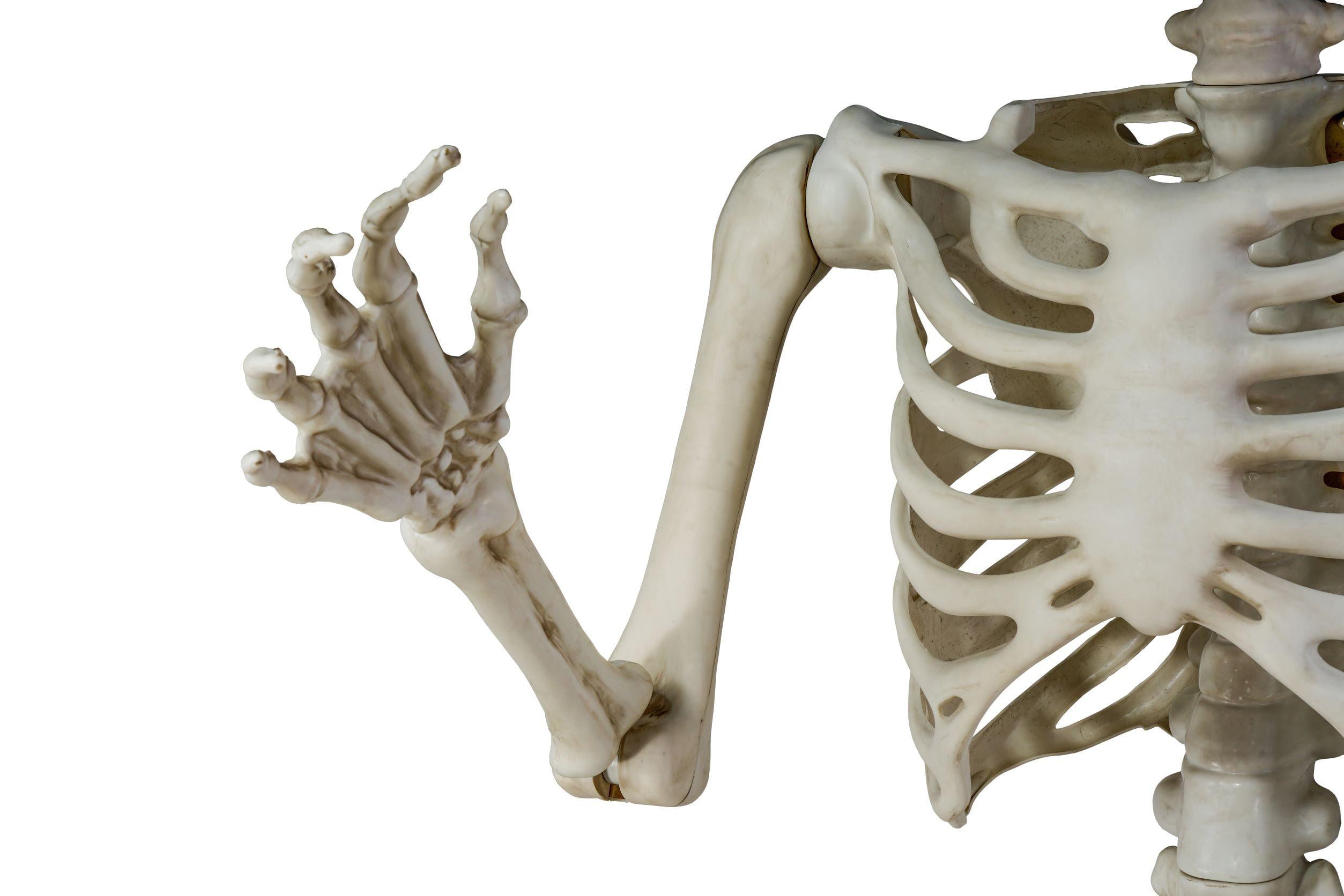 Way To Celebrate 10ft Giant Poseable Skeleton, Outdoor Halloween Decoration