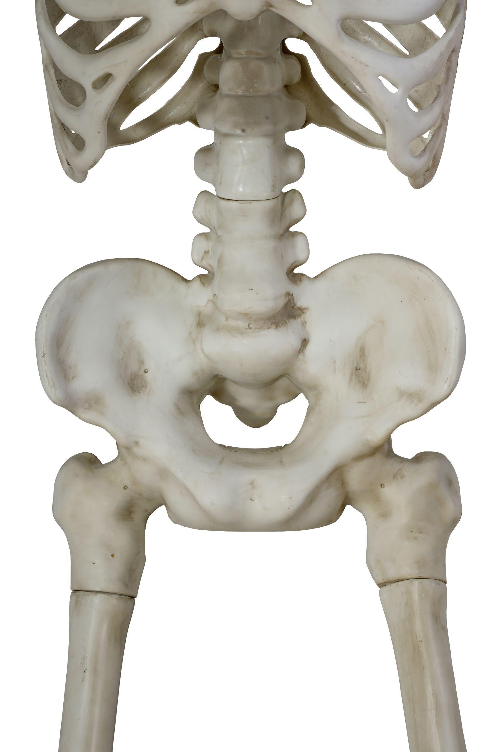 Way To Celebrate 10ft Giant Poseable Skeleton, Outdoor Halloween Decoration