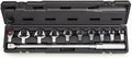 Capri Tools 30-250 ft. lbs. Interchangeable Torque Wrench and Heads Set, 14 mm x 18 mm Drive, 11-Piece