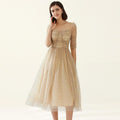 square collar mesh dots dress
