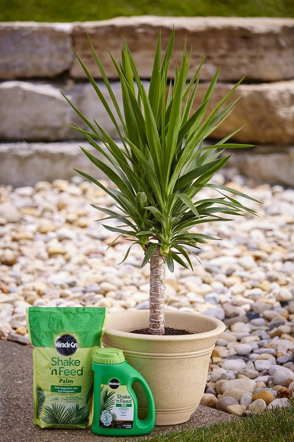 Miracle-Gro Shake 'N Feed Palm Plant Food Refill Bags, Plant Fertilizer, 8 lbs. (4-Pack)