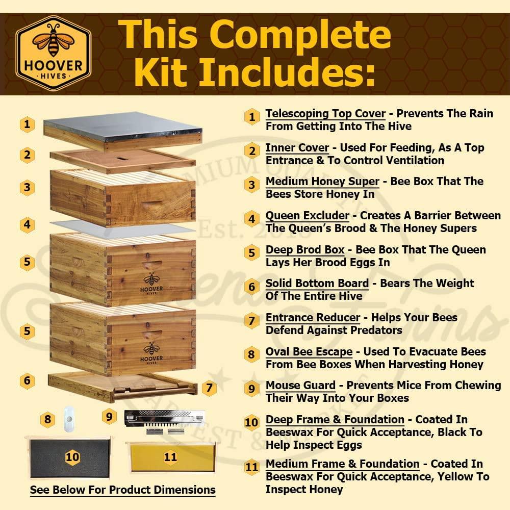 Hoover Hives 8 Frame Langstroth Beehive Dipped in Beeswax Includes Wooden Frames & Waxed Foundations (2 Deep Boxes, 1 Medium Box)(Fully Assembled)