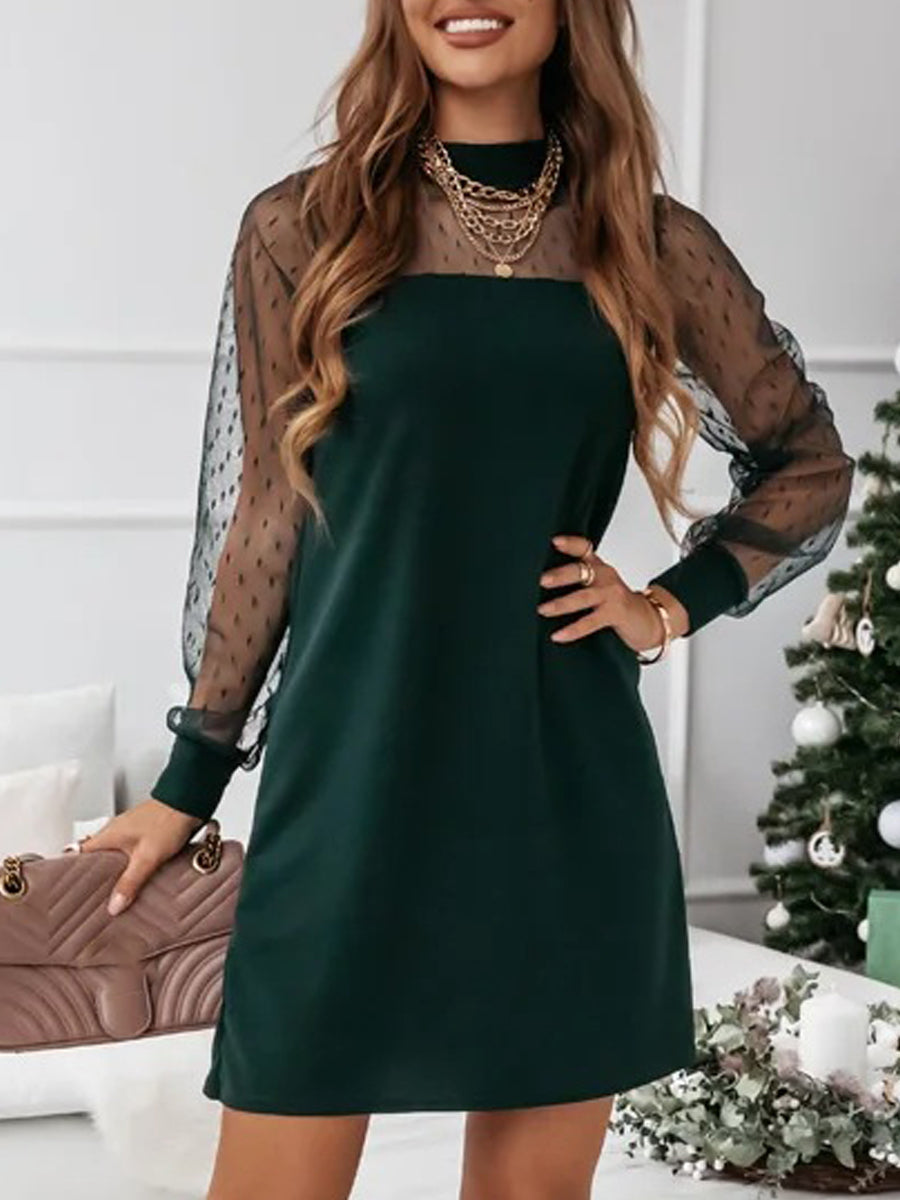 Crew Neck Mesh Long Sleeve Loose Dress