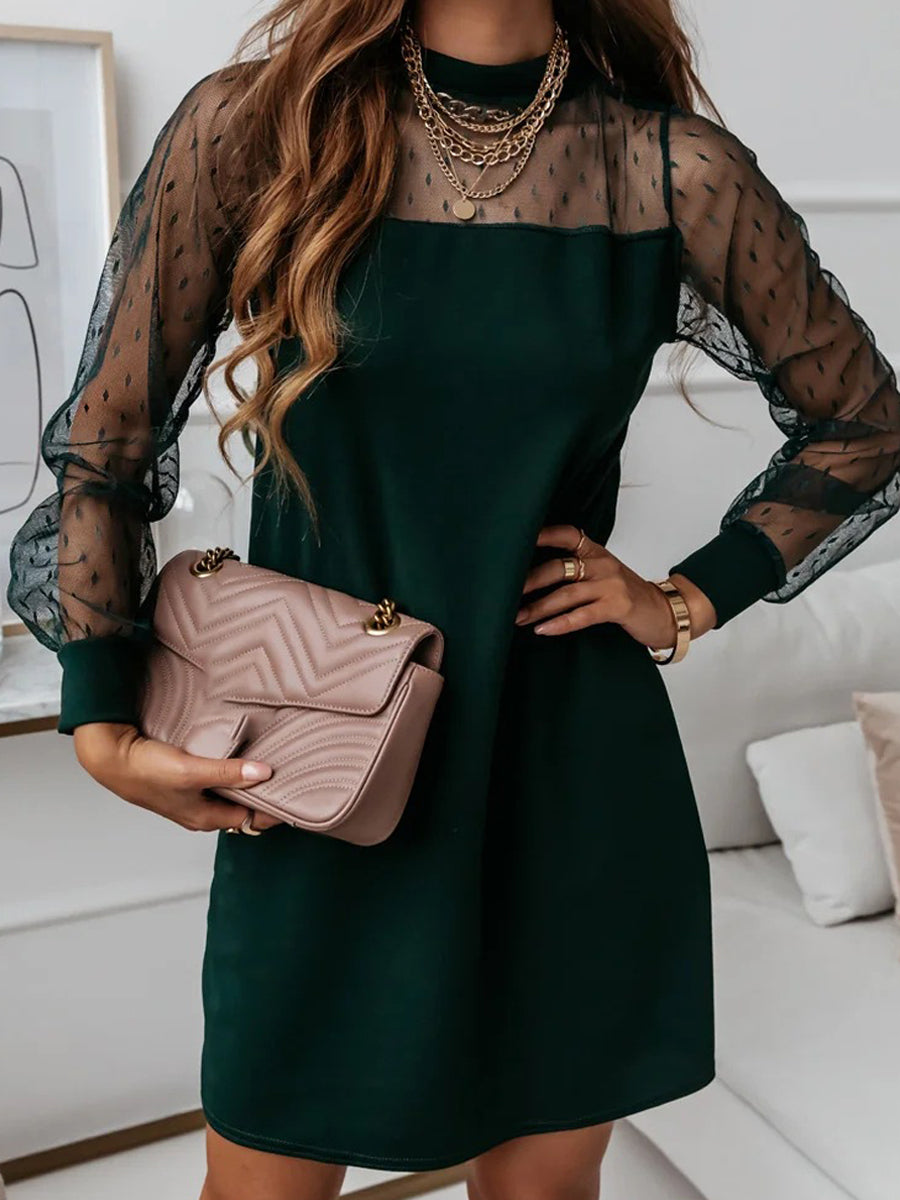 Crew Neck Mesh Long Sleeve Loose Dress