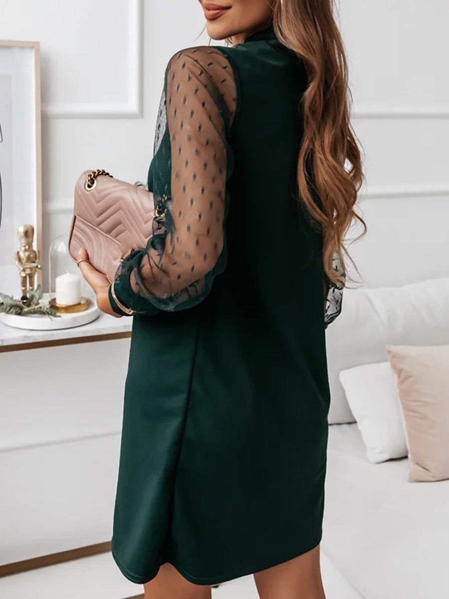 Crew Neck Mesh Long Sleeve Loose Dress
