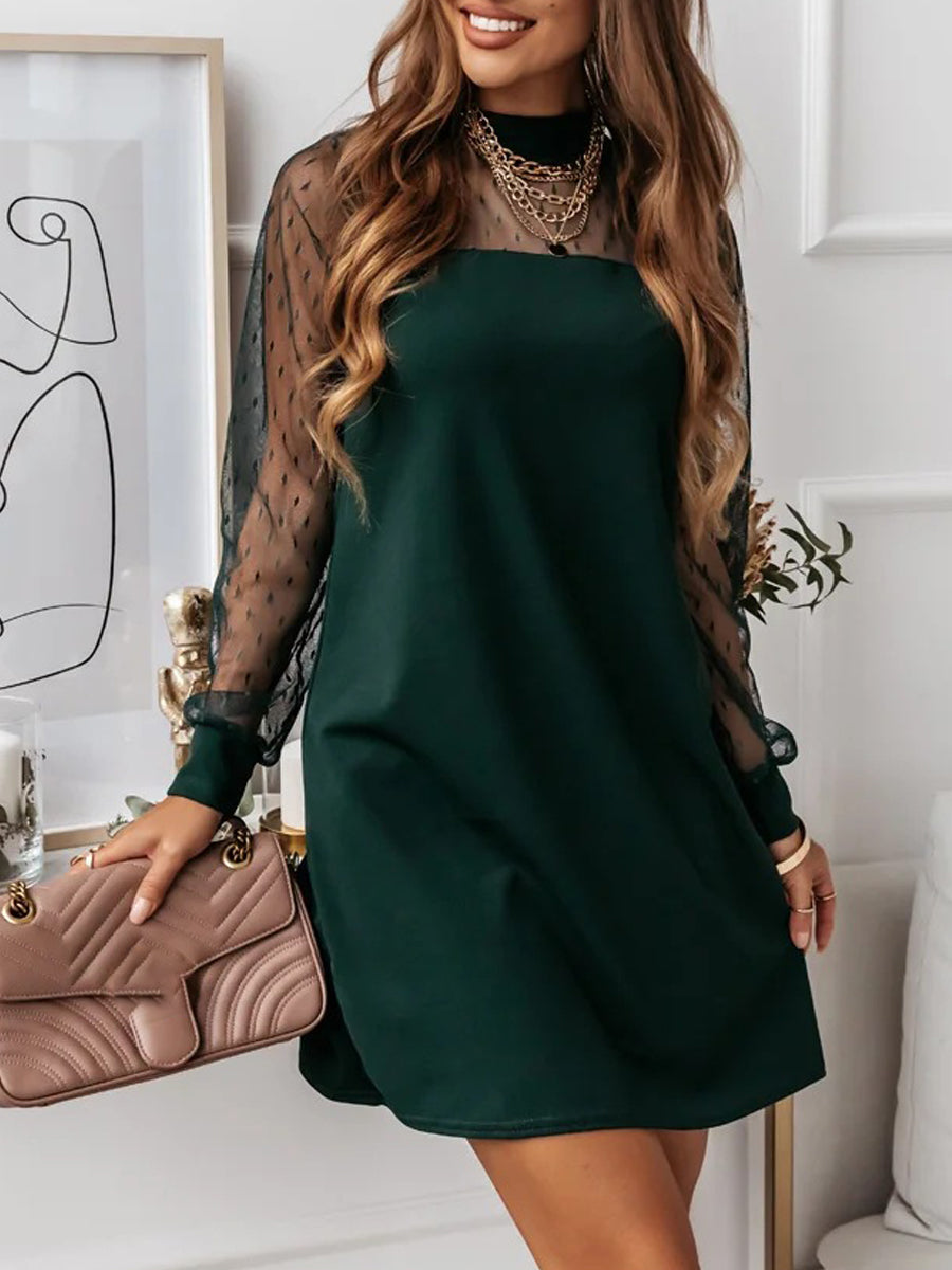 Crew Neck Mesh Long Sleeve Loose Dress