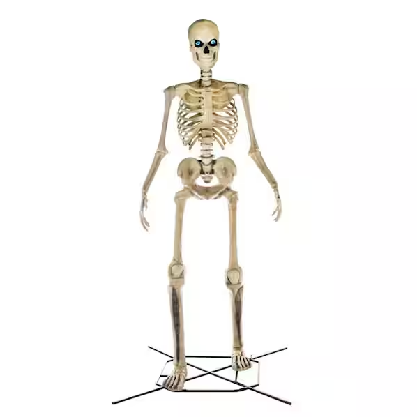 Home Accents 12 Ft. Giant-Sized Skeleton With LifeEyes