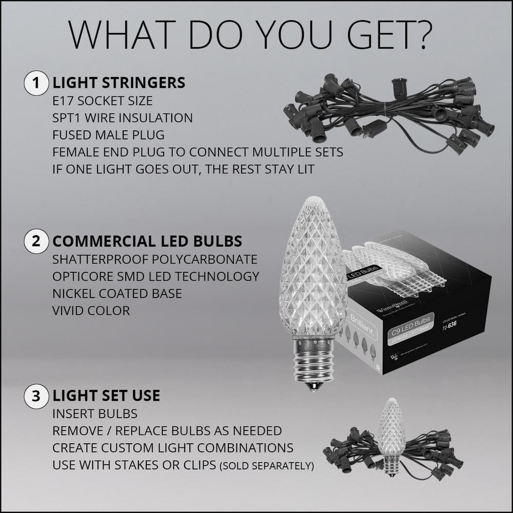 OptiCore 49 ft. 50-Light LED Blue and Cool White Faceted C9 String Light Set