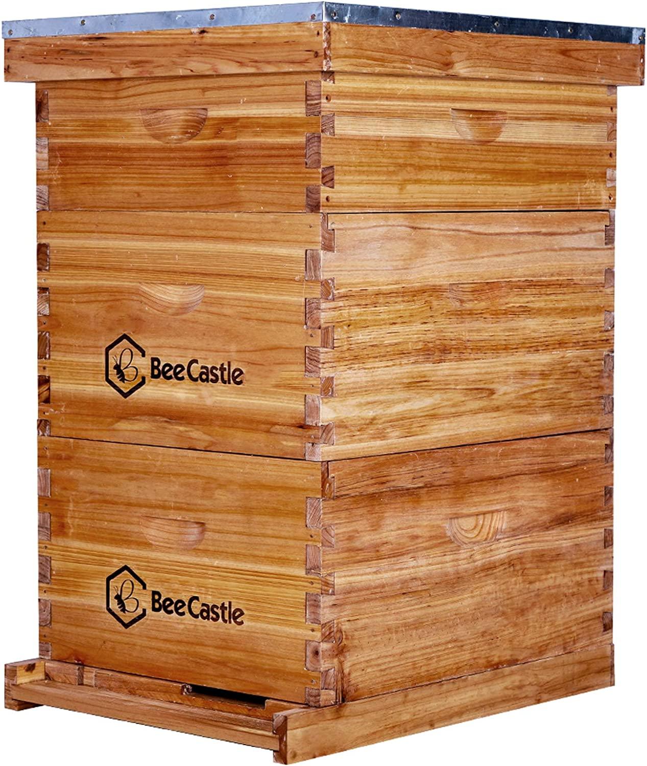Bee Hive 10 Frame Complete Bee Hives and Supplies Starter Kit, Beeswax Coated Beehives for Beginners with Bee Hive Frame and Waxed Foundation Include 2 Deep Hive Box and 1 Medium Bee Hive Super