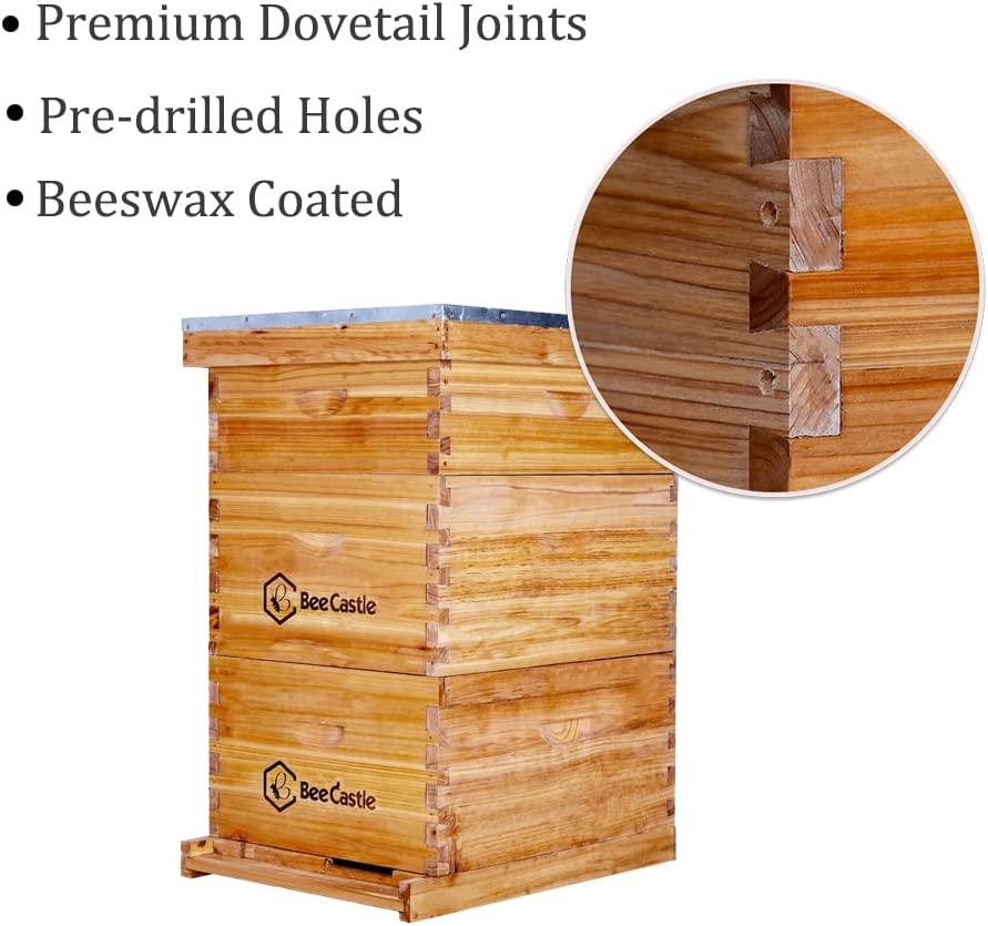 Bee Hive 10 Frame Complete Bee Hives and Supplies Starter Kit, Beeswax Coated Beehives for Beginners with Bee Hive Frame and Waxed Foundation Include 2 Deep Hive Box and 1 Medium Bee Hive Super