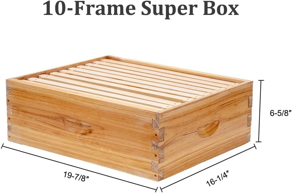 Bee Hive 10 Frame Complete Bee Hives and Supplies Starter Kit, Beeswax Coated Beehives for Beginners with Bee Hive Frame and Waxed Foundation Include 2 Deep Hive Box and 1 Medium Bee Hive Super