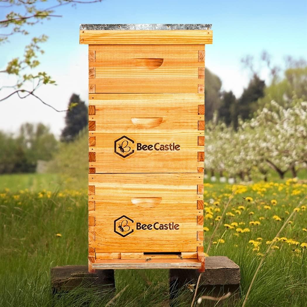 Bee Hive 10 Frame Complete Bee Hives and Supplies Starter Kit, Beeswax Coated Beehives for Beginners with Bee Hive Frame and Waxed Foundation Include 2 Deep Hive Box and 1 Medium Bee Hive Super