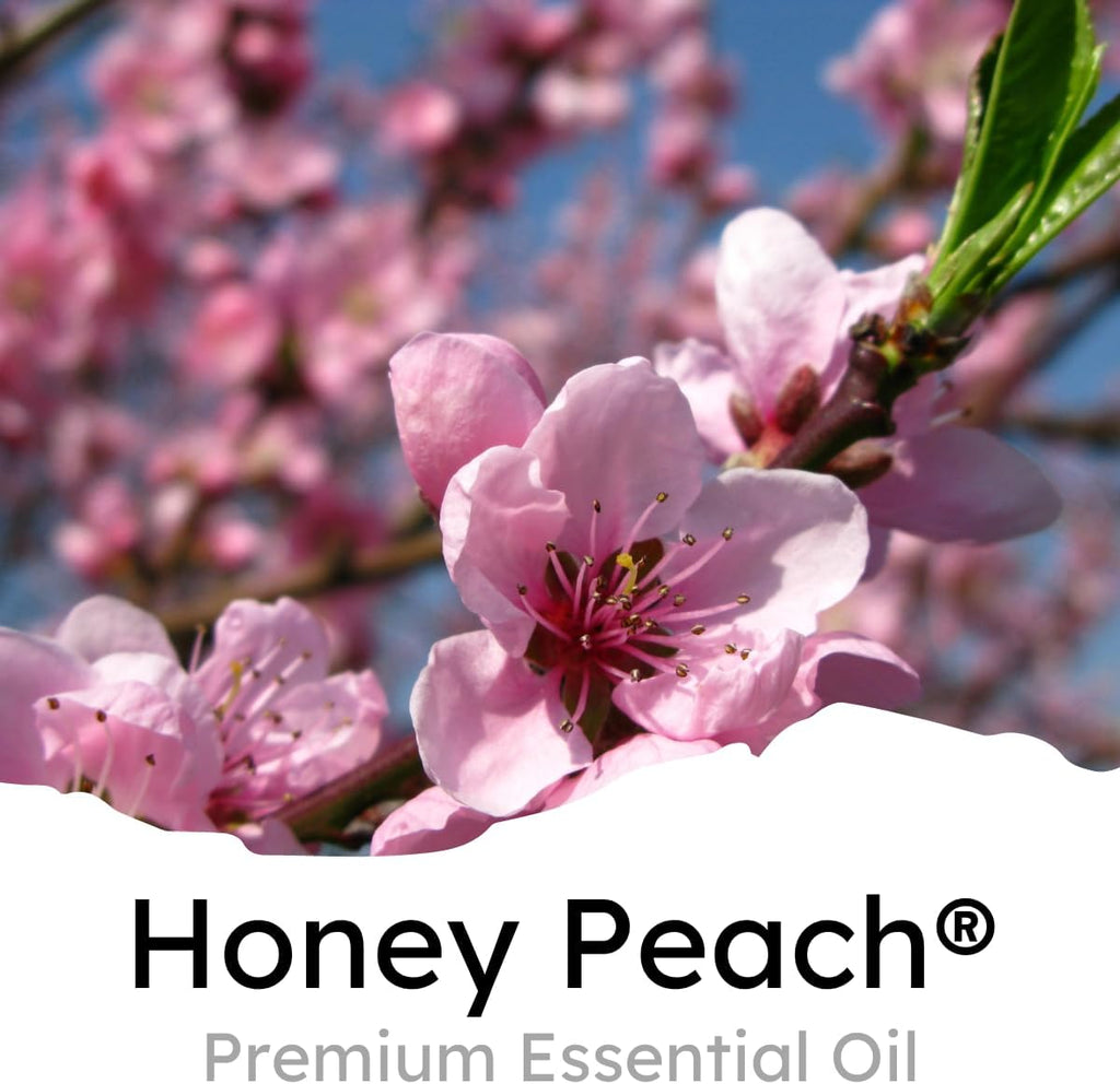 Air Jungles Honey Peach Scent Car Air Freshener Clip, 6 Car Freshener Vent Clips, 4ml Each, Long Lasting Air Freshener for Car, Up to 180 Days Car Refresher Odor Eliminator