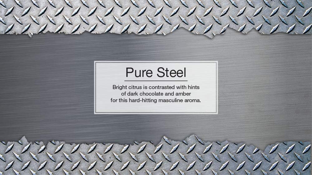 LITTLE TREES Air Fresheners Car Air Freshener. Hanging Tree Provides Long Lasting Scent for Auto or Home. Pure Steel, 24 Air Fresheners
