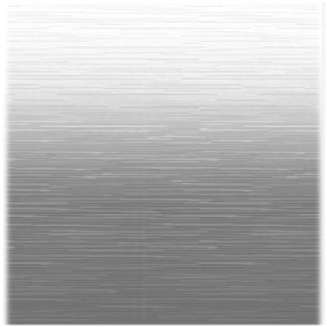 CareC6F-JU196D00 18 ft. 2 in. Silver Shale Fade Weatherguard - White