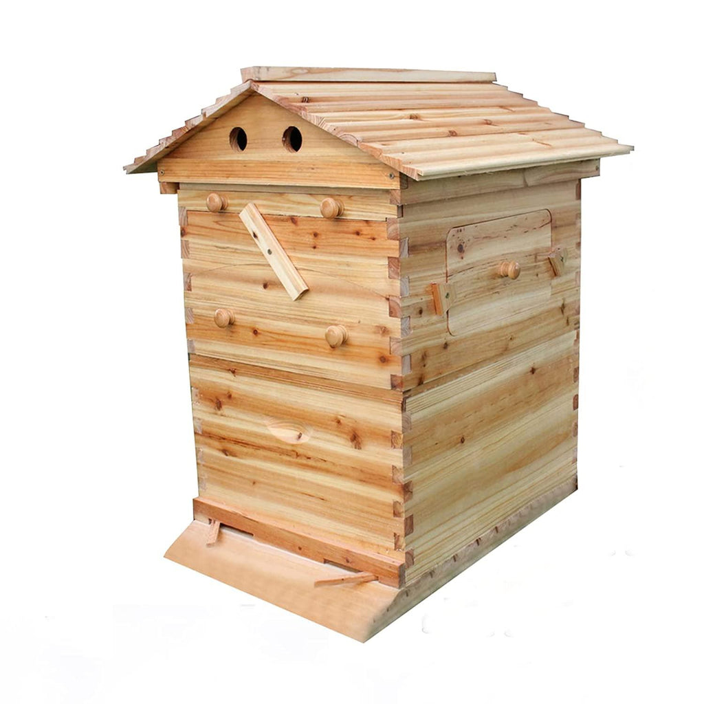 Adasea Hive, Auto Flow Beehive, Beekeeping Wooden House with 7 PCS Auto Honey Beehive Frame, Food Grade BPA  (Beehive Frame+Wooden Box)