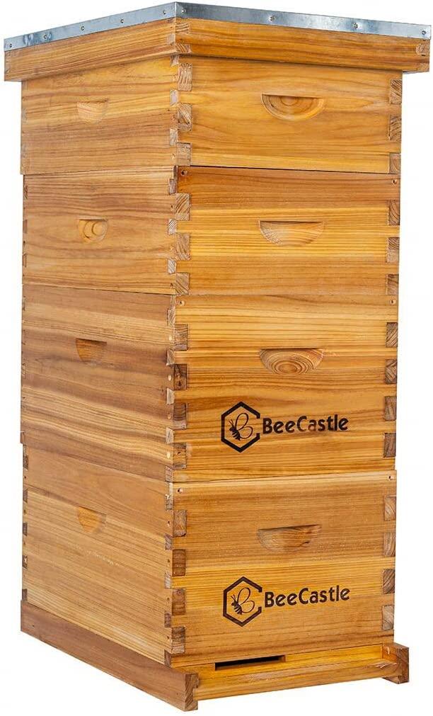 Bee Hive 8 Frame Complete Bee Hives and Supplies Starter Kit, Beeswax Coated Beehives for Beginners with Bee Hive Frame and Waxed Foundation Include 2 Deep Hive Box and 2 Medium Bee Hive Super