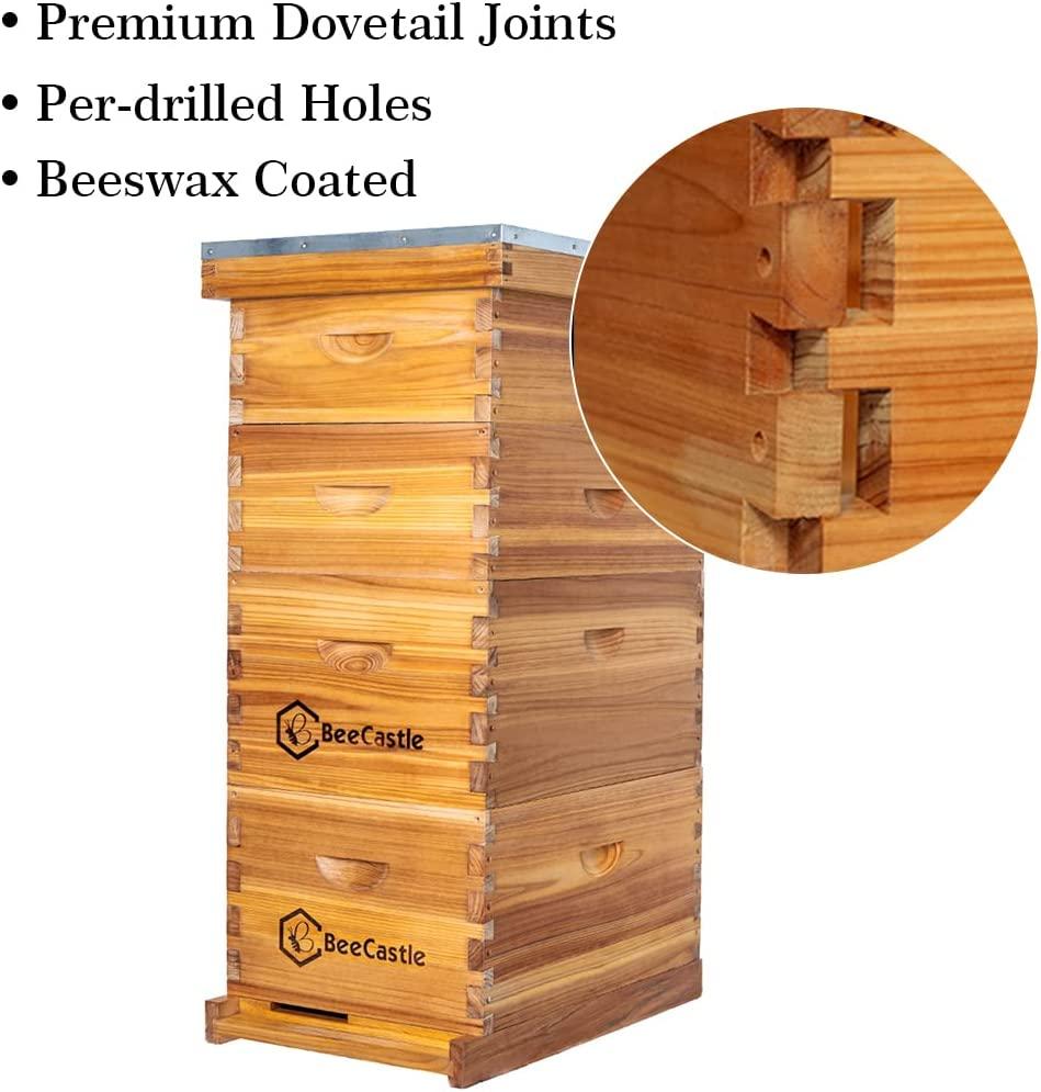 Bee Hive 10 Frame Complete Bee Hives and Supplies Starter Kit, Beeswax Coated Beehives for Beginners with Bee Hive Frame and Waxed Foundation Include 2 Deep Hive Box and 2 Medium Bee Hive Super