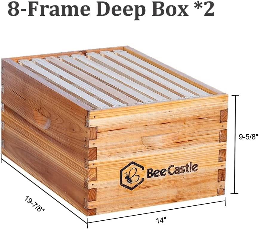Bee Hive 8 Frame Complete Bee Hives and Supplies Starter Kit, Beeswax Coated Beehives for Beginners with Bee Hive Frame and Waxed Foundation Include 2 Deep Hive Box and 2 Medium Bee Hive Super