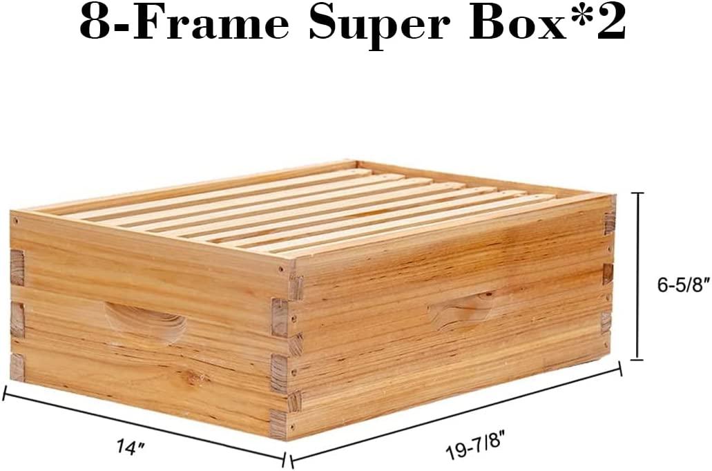 Bee Hive 8 Frame Complete Bee Hives and Supplies Starter Kit, Beeswax Coated Beehives for Beginners with Bee Hive Frame and Waxed Foundation Include 2 Deep Hive Box and 2 Medium Bee Hive Super