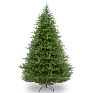 Ergode 9 ft. Norway Fir Tree