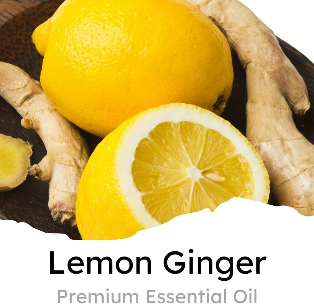 Air Jungles Lemon Ginger Scent Car Air Freshener Clip, 6 Car Freshener Vent Clips, 4ml Each, Long Lasting Air Freshener for Car, Up to 180 Days Car Refresher Odor Eliminator
