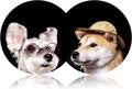 Car Coasters 2PCS 2.75" Car Cup Holder Coasters Cute Dog Animal Non-Slip Universal Insert for Most Car Interior Car Accessory for Women Girl Dog Lovers Gifts by FLYEEGO