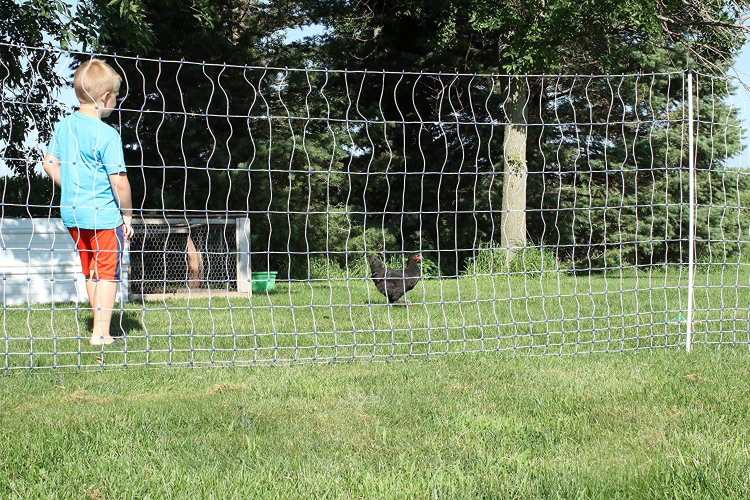 Starkline Electric Poultry Netting Kit - AC Energizer (48" x164' White/Blue Poultry Netting) (12/48/3) All-in-One Electric Fence Kit for Backyards, Homesteads, Ranches or Farms