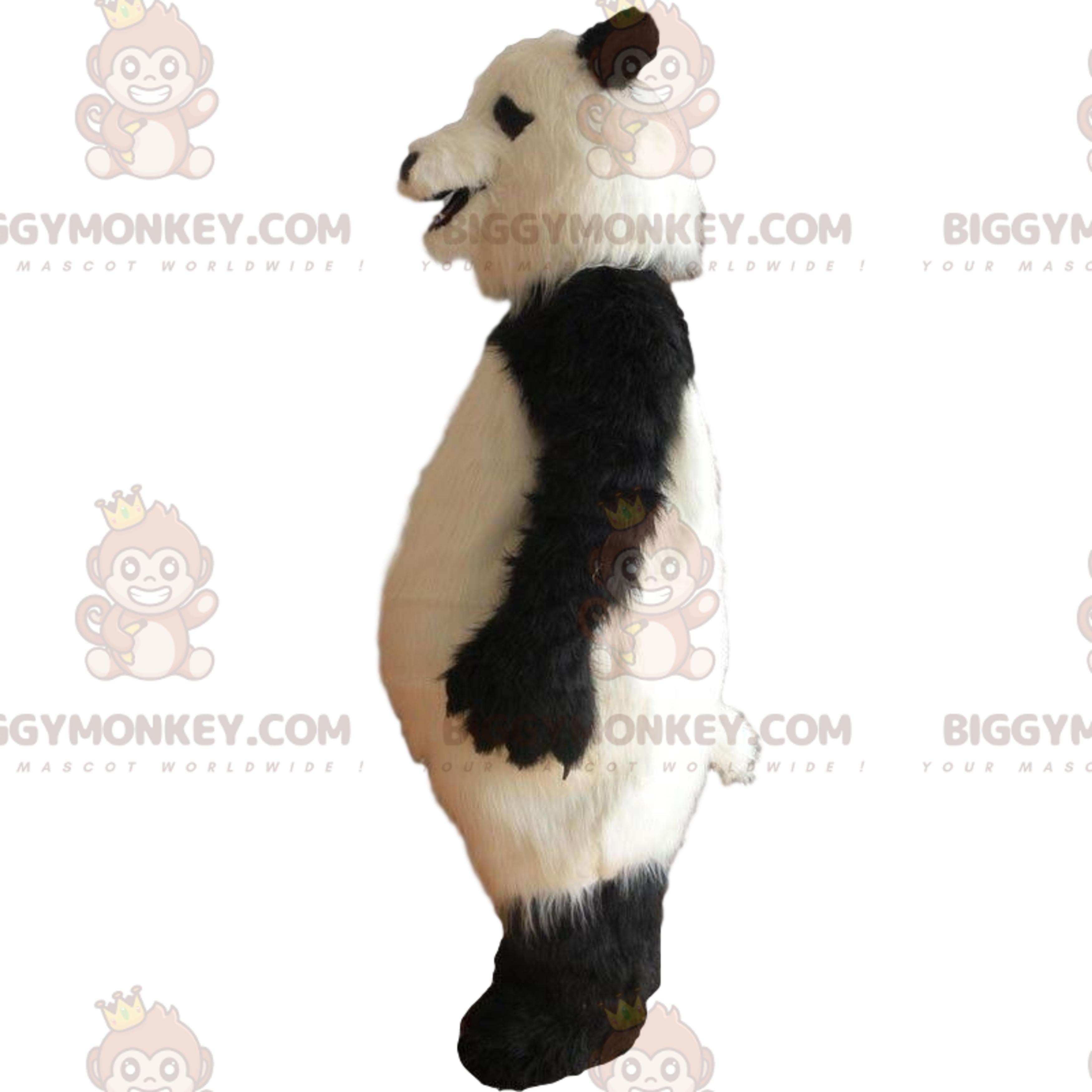 Very realistic panda BIGGYMONKEYmascot costume, furry panda costume