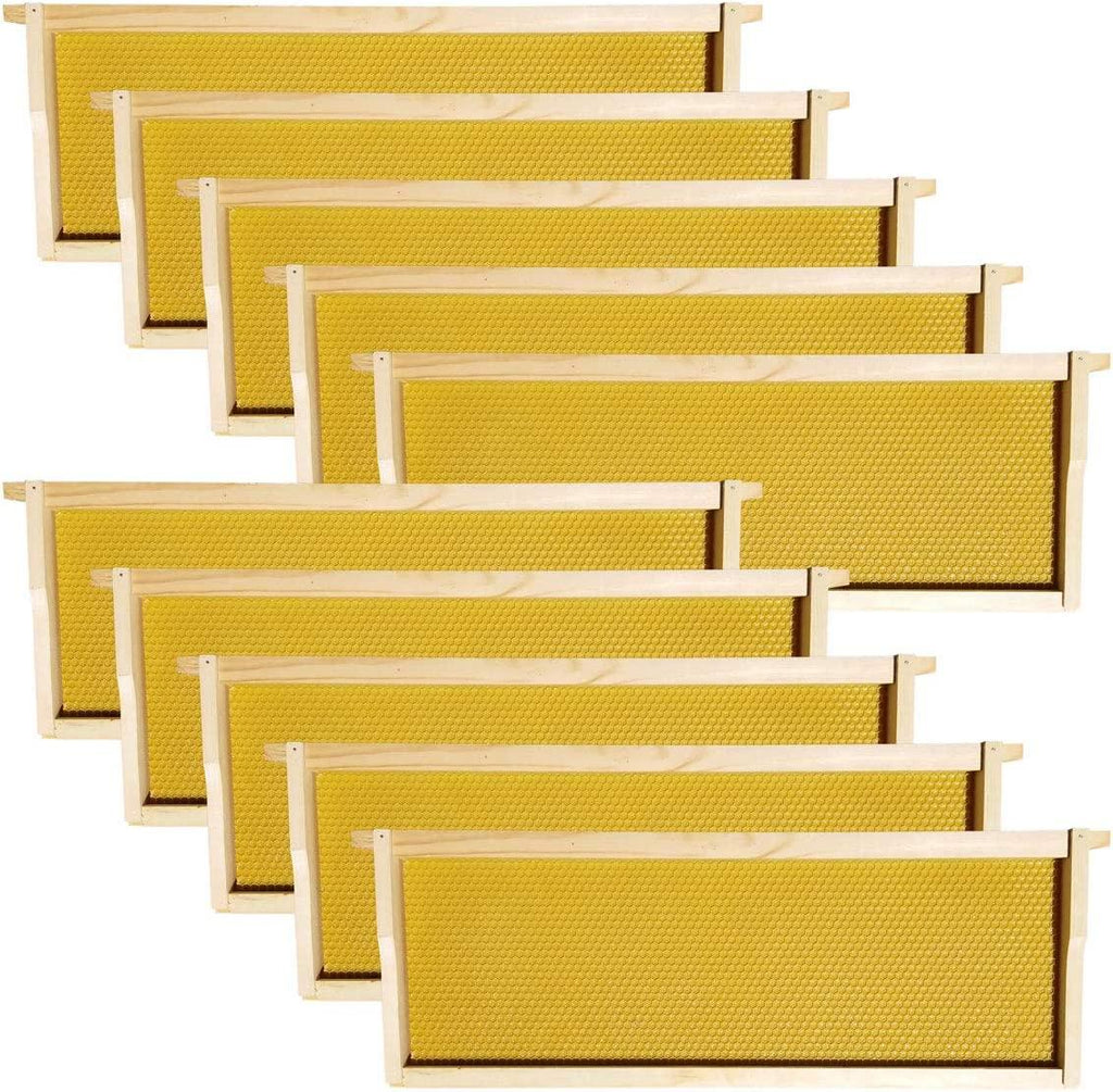 Hoover Hives - Medium Frames & Foundations (100 Pack) - Langstroth Beehive Wooden Frames, Natural Honey Colored Food Grade Plastic Foundations Dipped in Natural Beeswax
