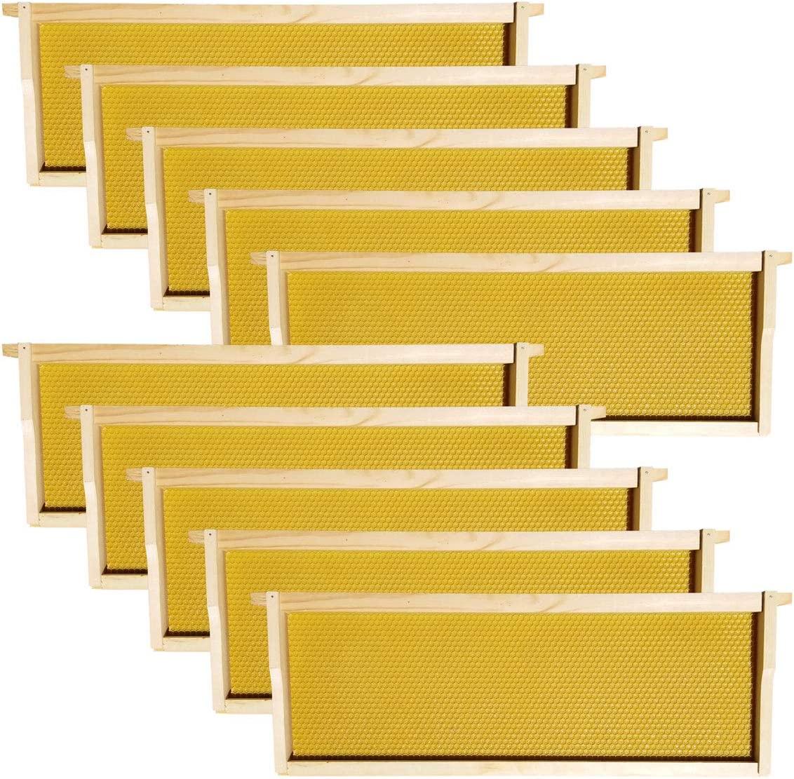 Hoover Hives - Medium Frames & Foundations (100 Pack) - Langstroth Beehive Wooden Frames, Natural Honey Colored Food Grade Plastic Foundations Dipped in Natural Beeswax