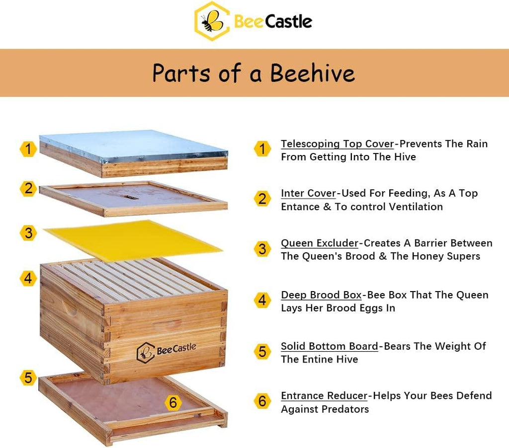 10-Frame Bee Hives and Supplies Starter Kit,Beehive Kit Dipped in Beeswax,Bee Keeping Supplies-All Beginners Kit Includes Beekeeping Supplies Tool Set and Bee Suit.