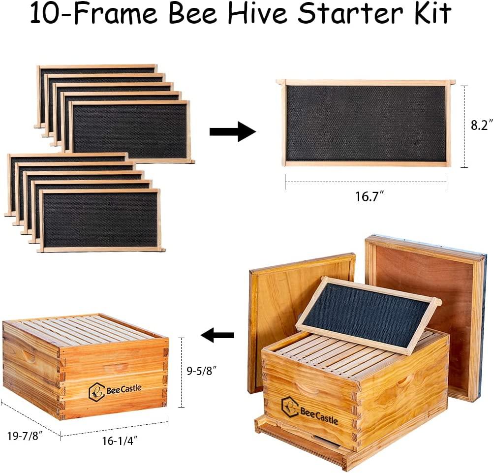 10-Frame Bee Hives and Supplies Starter Kit,Beehive Kit Dipped in Beeswax,Bee Keeping Supplies-All Beginners Kit Includes Beekeeping Supplies Tool Set and Bee Suit.
