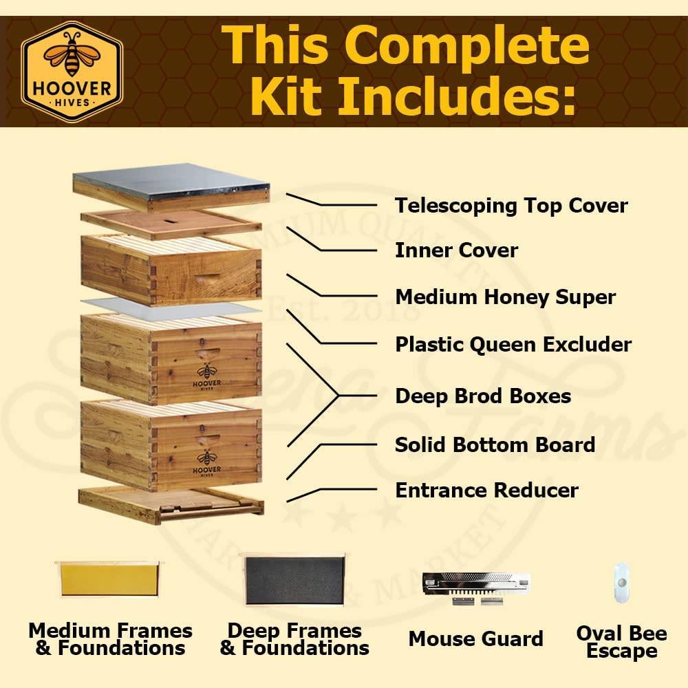 Hoover Hives 10 Frame Langstroth Beehive Dipped in Beeswax Includes Wooden Frames & Waxed Foundations (2 Deep Boxes, 1 Medium Box)